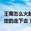 王菊怎么火起来的（没有本钱那就另辟蹊径坚定的走下去）