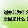 刘亦菲为什么那么漂亮（刘亦菲与宋承宪分手原因是什么）