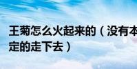 王菊怎么火起来的(没有本钱那就另辟蹊径坚定的走下去)