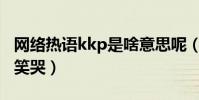 网络热语kkp是啥意思呢(网友刨根问底之后笑哭)
