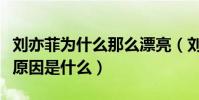 刘亦菲为什么那么漂亮(刘亦菲与宋承宪分手原因是什么)