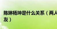 陈琳杨坤是什么关系(两人私下关系很是多年友)