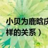 小贝为鹿晗庆生（贝克汉姆与鹿晗究竟有什么样的关系）