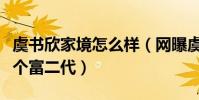 虞书欣家境怎么样(网曝虞书欣家境优越是一个富二代)