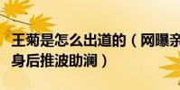 王菊是怎么出道的(网曝亲姐姐卖店砸钱在她身后推波助澜)