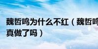 魏哲鸣为什么不红(魏哲鸣与徐若晗真的假戏真做了吗)