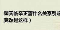 翟天临辛芷蕾什么关系引起网友热议(没想到竟然是这样)