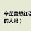 辛芷蕾想红引网友热议（她真的是真实不做作的人吗）