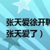 张天爱徐开聘恋情是真的吗（徐开聘公开接送张天爱了）