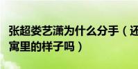 张超娄艺潇为什么分手(还记得他们在爱情公寓里的样子吗)