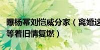曝杨幂刘恺威分家(离婚这么久才分家网友都等着旧情复燃)