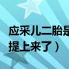 应采儿二胎是真的吗（两人已经把二胎的日程提上来了）
