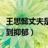 王思懿丈夫是丁海峰吗（丁海峰妻子被两人气到抑郁）