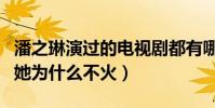 潘之琳演过的电视剧都有哪些呢(如此敬业的她为什么不火)