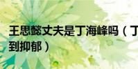 王思懿丈夫是丁海峰吗(丁海峰妻子被两人气到抑郁)