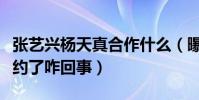 张艺兴杨天真合作什么(曝张艺兴和杨天真解约了咋回事)