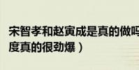 宋智孝和赵寅成是真的做吗(两人影片中的尺度真的很劲爆)
