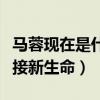 马蓉现在是什么状况（晒出孕妇卡通图并称迎接新生命）