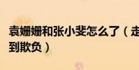 袁姗姗和张小斐怎么了(走红之前的她一直受到欺负)