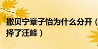 撒贝宁章子怡为什么分开(章子怡为何最后选择了汪峰)