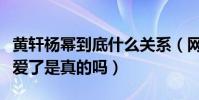 黄轩杨幂到底什么关系(网传两人因翻译官恋爱了是真的吗)