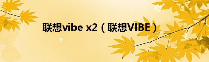 联想vibe x2（联想VIBE）