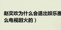 赵奕欢为什么会退出娱乐圈(赵奕欢是因为什么电视剧火的)