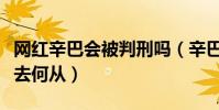 网红辛巴会被判刑吗(辛巴在燕窝事件后该何去何从)