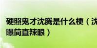 硬照鬼才沈腾是什么梗(沈腾奇葩拍照姿势被曝简直辣眼)
