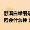 舒淇白举纲是什么关系（网曝白举纲舒淇深夜密会什么梗）