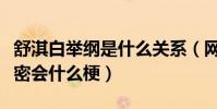 舒淇白举纲是什么关系(网曝白举纲舒淇深夜密会什么梗)