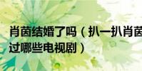 肖茵结婚了吗(扒一扒肖茵除了灵魂摆渡还演过哪些电视剧)