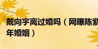 戴向宇离过婚吗(网曝陈紫函介入他和前妻十年婚姻)