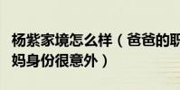 杨紫家境怎么样(爸爸的职业叫人肃然起敬妈妈身份很意外)