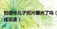 刘德华儿子照片曝光了吗(被曝带老婆针灸法成功凑)