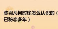陈羽凡何时珍怎么认识的(陈羽凡出轨何时珍已秘恋多年)