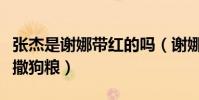 张杰是谢娜带红的吗(谢娜和张杰健身房花式撒狗粮)