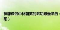 神雕侠侣中林朝英的武功跟谁学的(为什么林朝英没嫁王重阳)