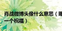 肖战微博头像什么意思(曝这是粉丝给肖战的一个祝福)