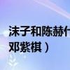 沫子和陈赫什么关系（因其可爱外表被称电竞邓紫棋）