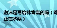 泡沫是写给林宥嘉的吗(邓紫棋创作泡沫时候正在吵架)