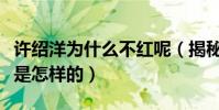 许绍洋为什么不红呢(揭秘许绍洋的出道经历是怎样的)