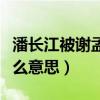 潘长江被谢孟伟直呼潘子（潘嘎之交究竟是什么意思）