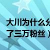 大川为什么分手了（因为公布恋情大川一天掉了三万粉丝）