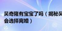 吴奇隆有宝宝了吗(揭秘吴奇隆同前妻为什么会选择离婚)