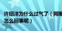 许绍洋为什么过气了(网曝许绍洋现在不红是怎么回事呢)