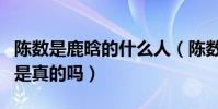 陈数是鹿晗的什么人(陈数是鹿晗妈妈的传闻是真的吗)