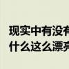 现实中有没有刘亦菲级别美貌的人（刘亦菲为什么这么漂亮）