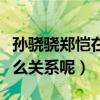 孙骁骁郑恺在一起过吗（两人之间到底有着什么关系呢）