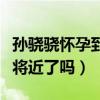 孙骁骁怀孕到底是真是假呢（难道她们真的事将近了吗）